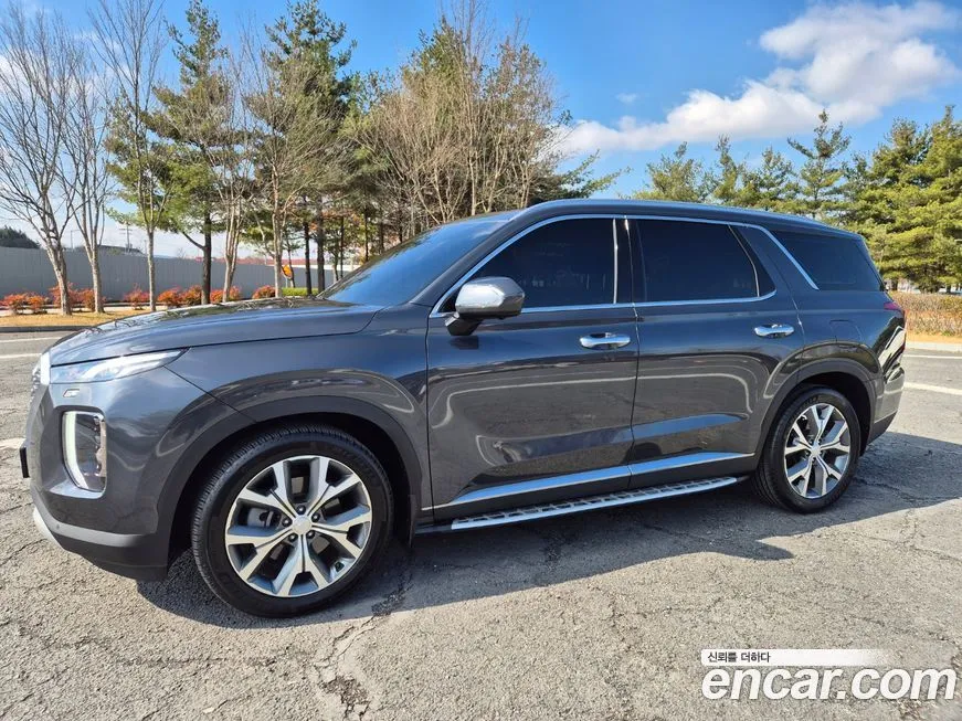Hyundai Palisade — фото 10