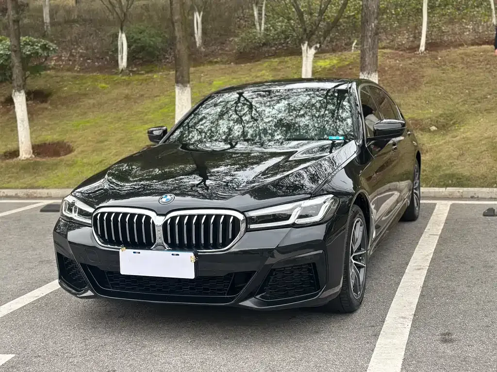 BMW 5 Series — фото 1