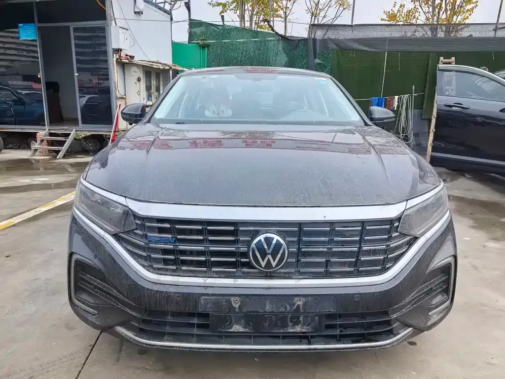 Volkswagen Passat New Energy — фото 10