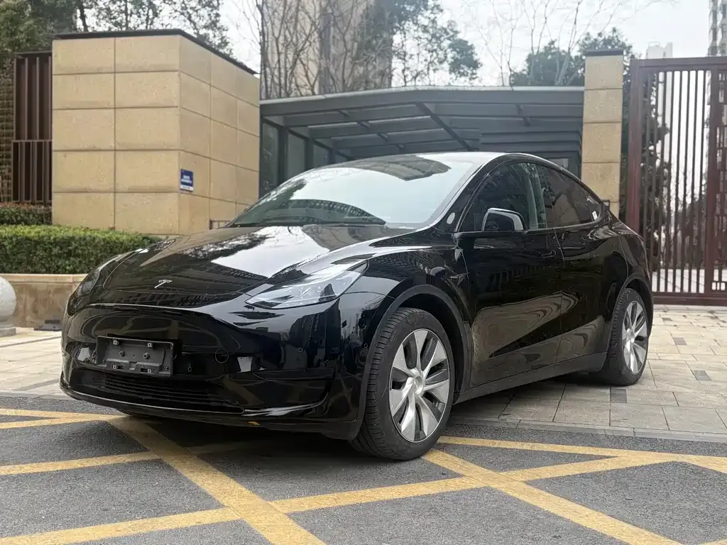 Tesla Model Y — фото 1
