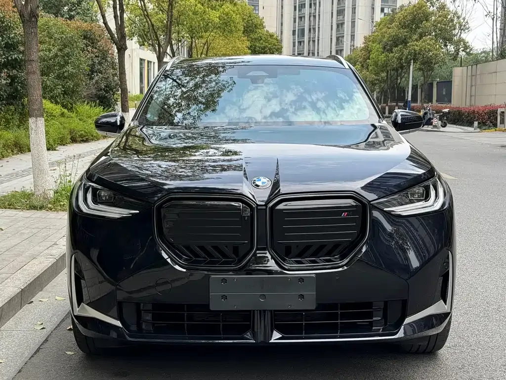 BMW X3 — фото 2