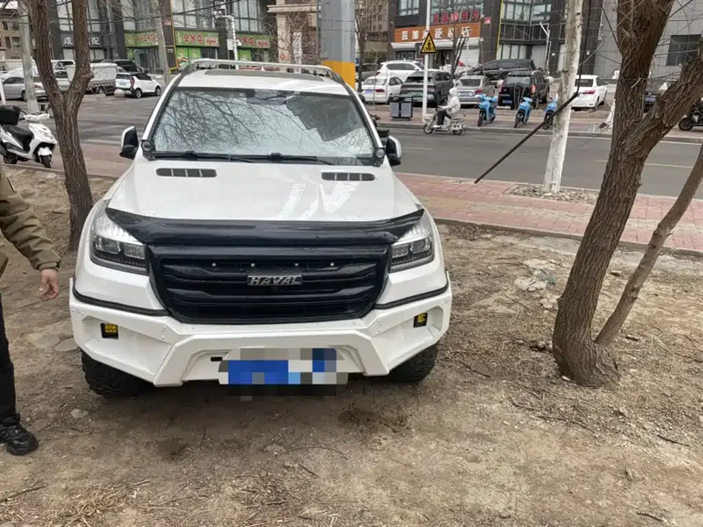 Haval H9 — фото 10