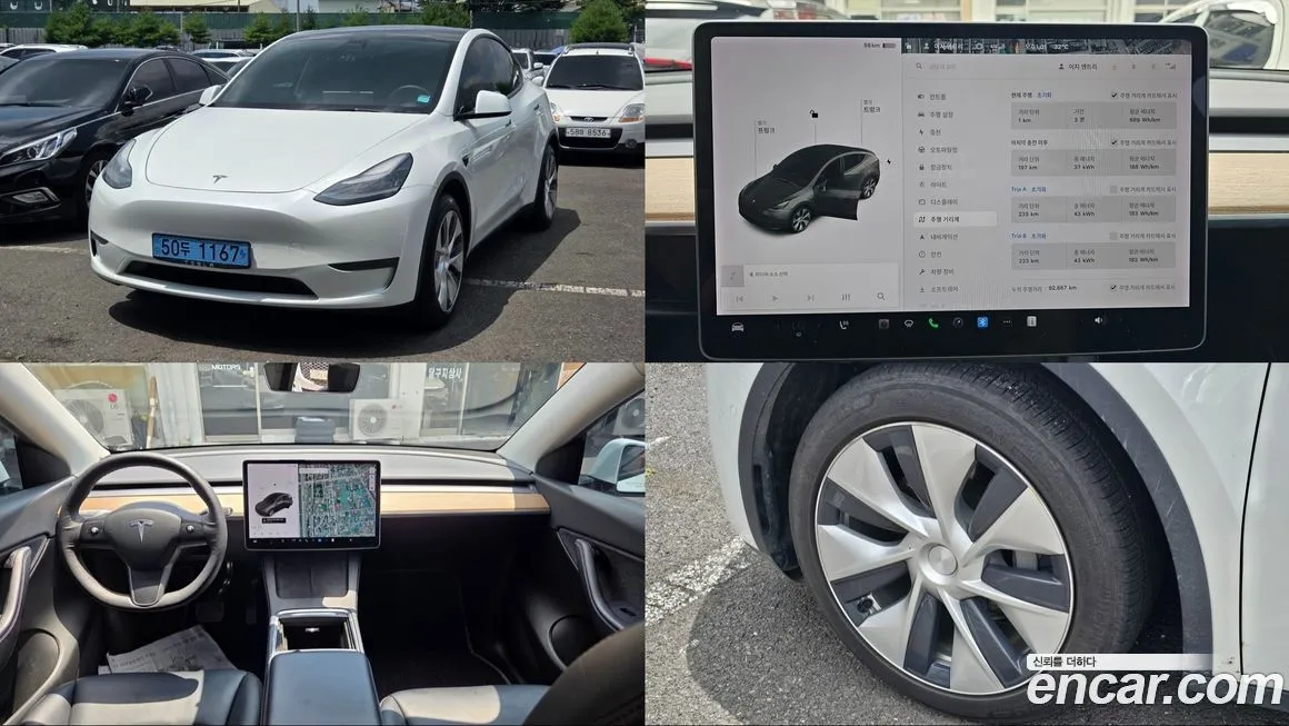 Tesla Model Y — фото 1