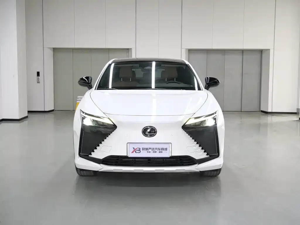 Lexus RZ — фото 10