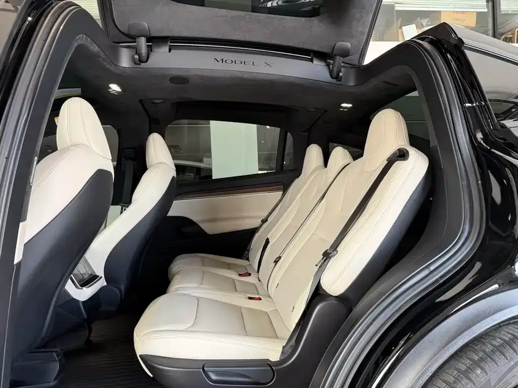 Tesla Model X — фото 8