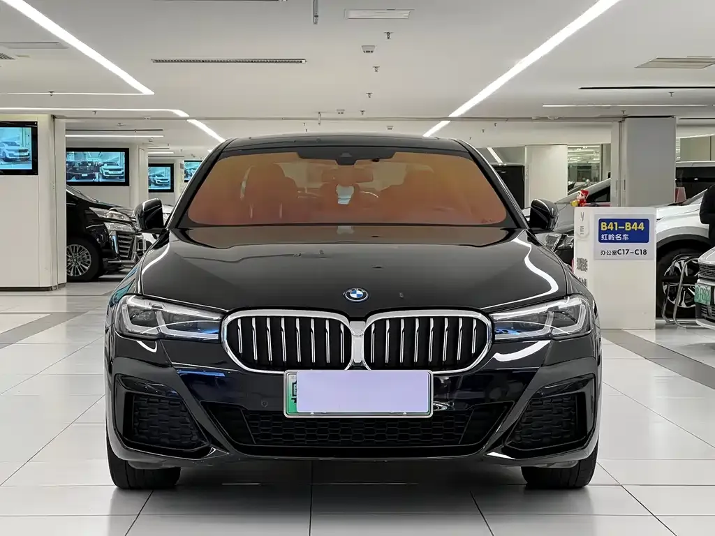 BMW 5 Series New Energy — фото 3