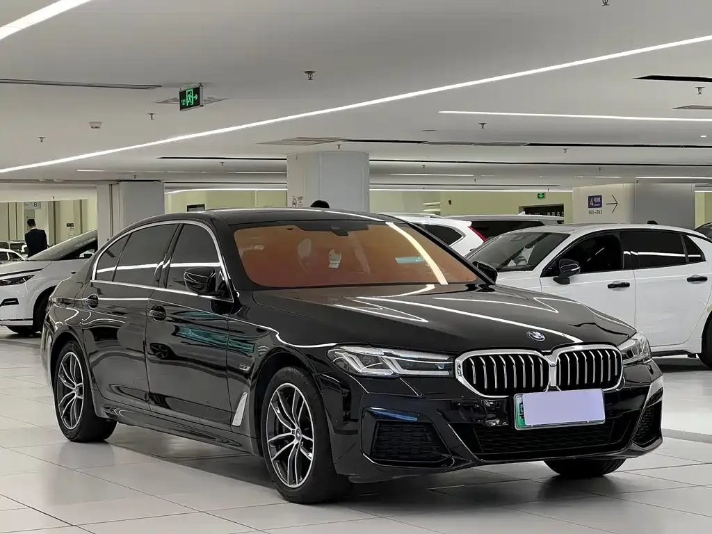 BMW 5 Series New Energy — фото 4