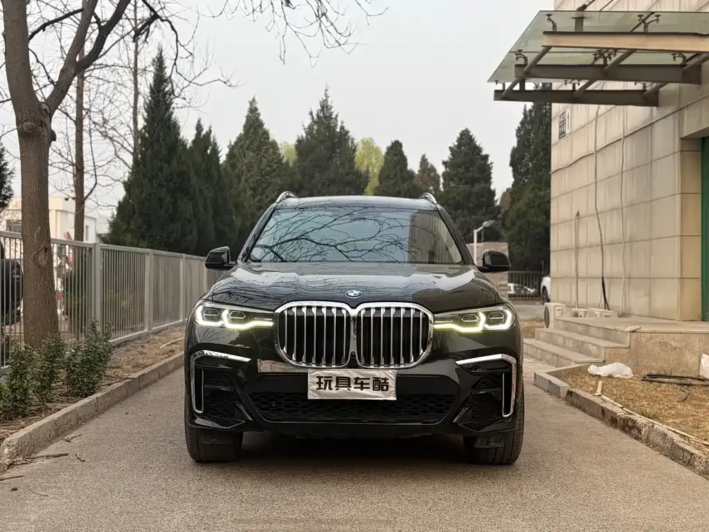 BMW X7 — фото 9