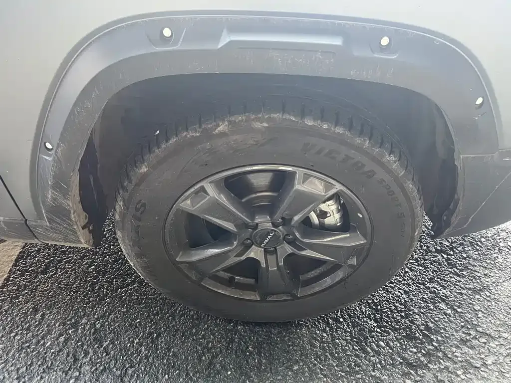 Haval Raptor — фото 10