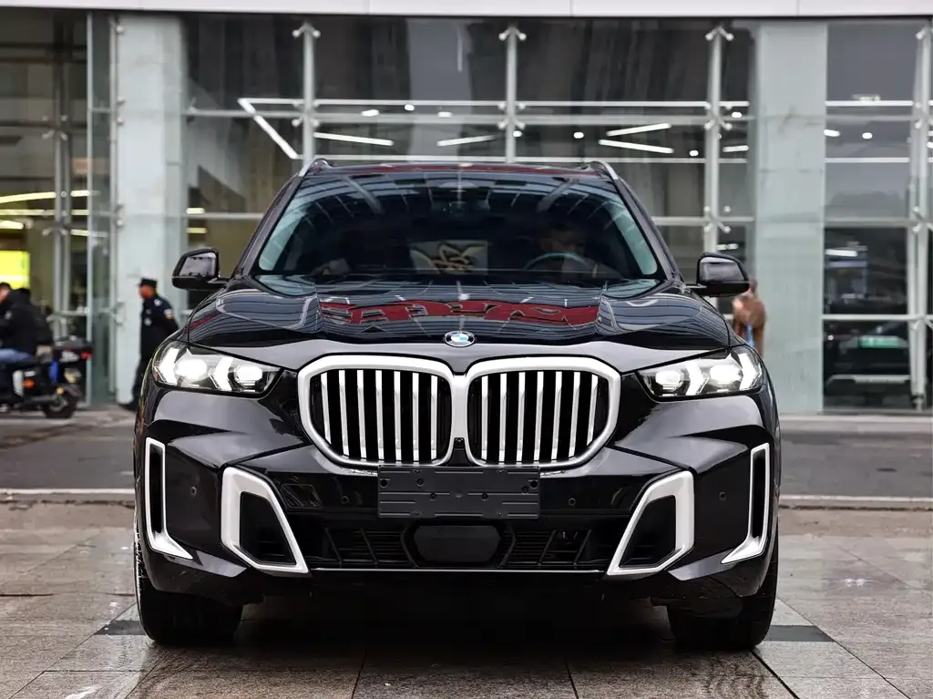 BMW X5 — фото 3