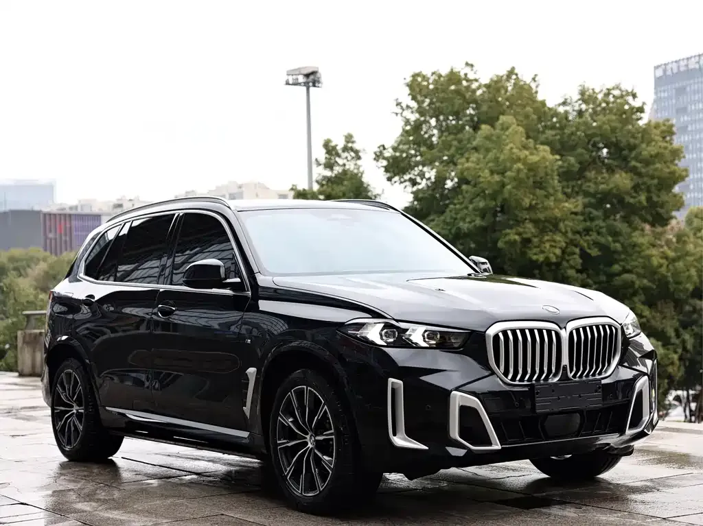 BMW X5 — фото 4