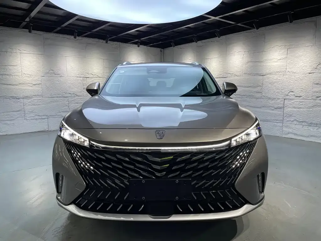 Roewe RX5 New Energy — фото 8
