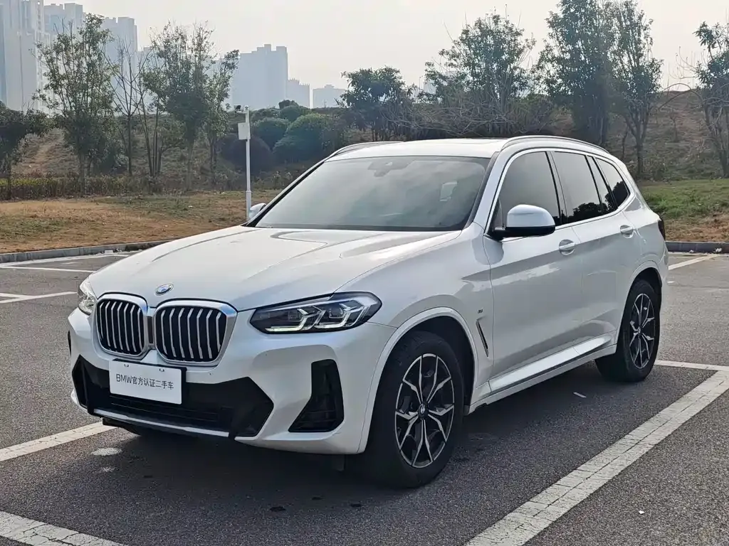 BMW X3 — фото 1