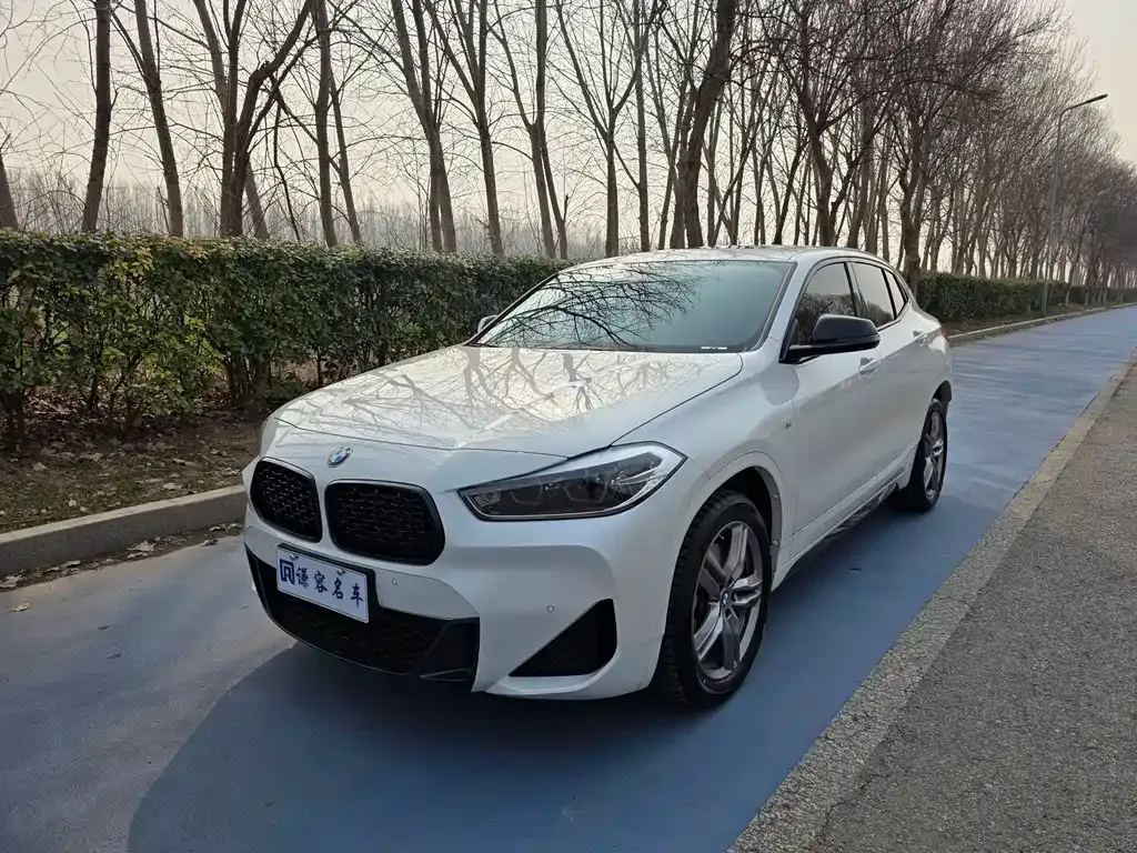 BMW X2 — фото 1