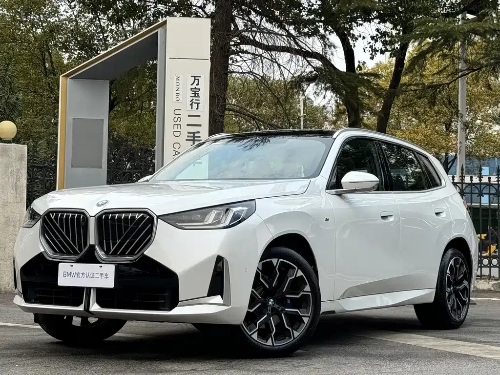 BMW X3 — фото 1