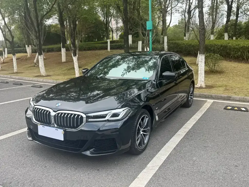 BMW 5 Series — фото 1