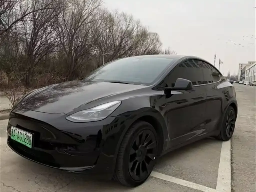Tesla Model Y — фото 1