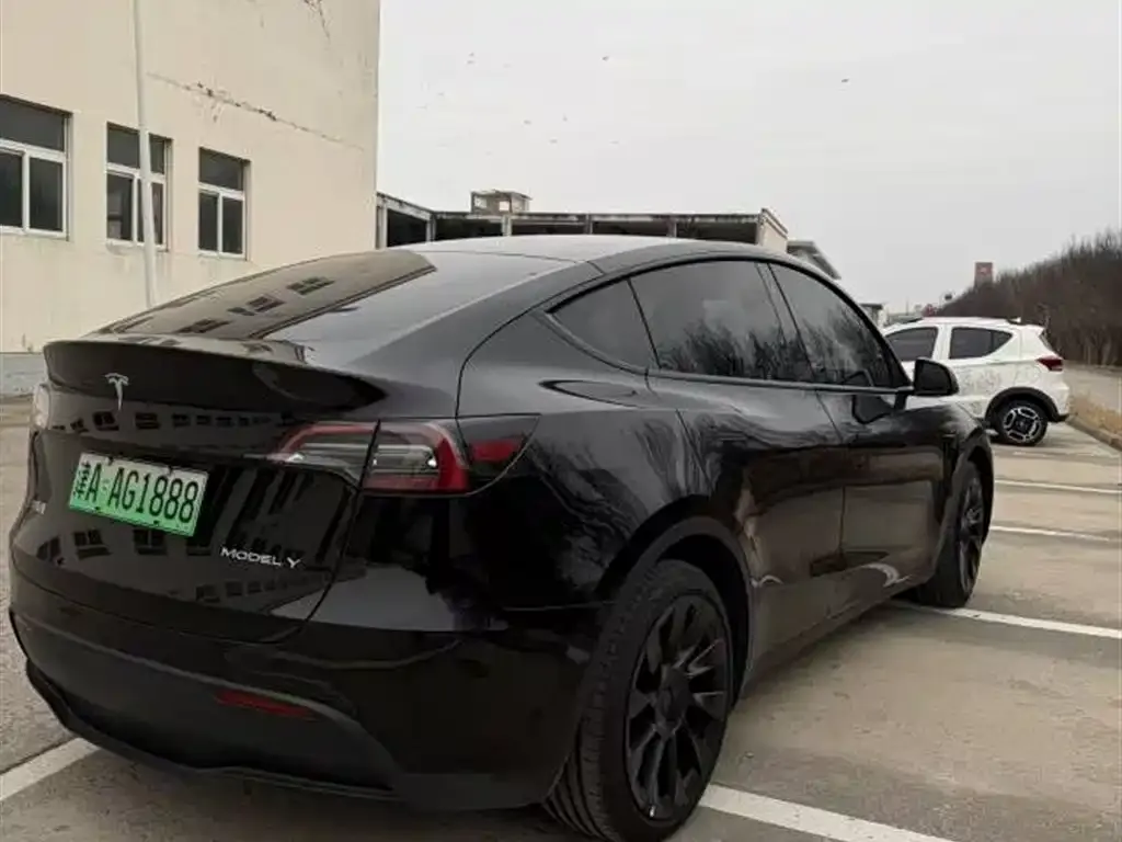 Tesla Model Y — фото 3