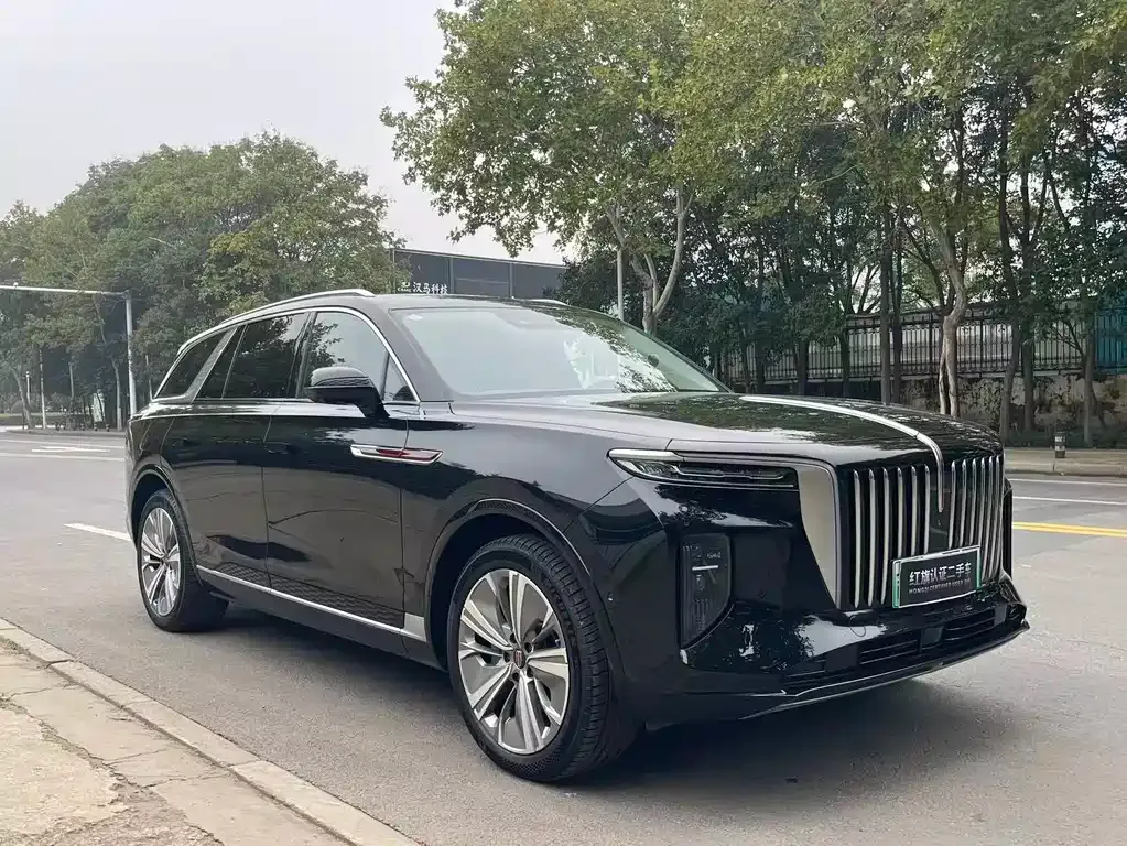 Hongqi E-HS9 — фото 8