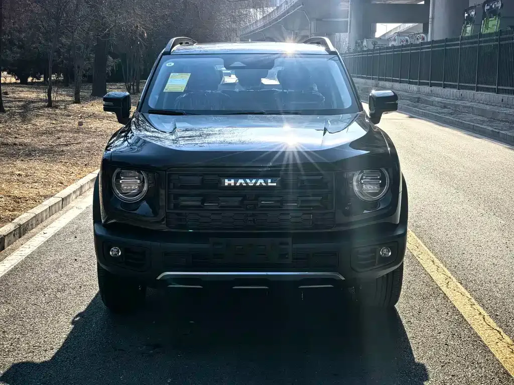 Haval Big Dog — фото 8