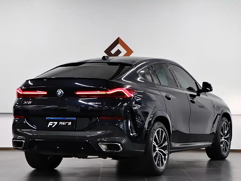 BMW X6 — фото 8