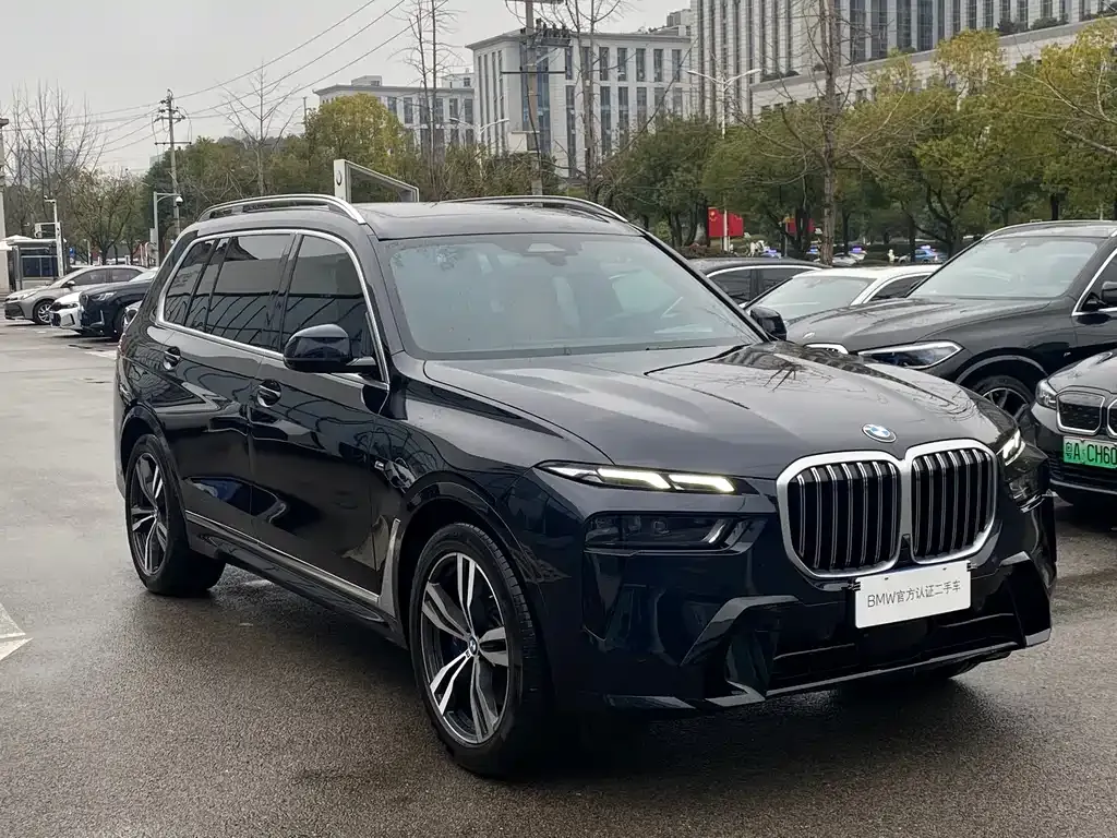 BMW X7 — фото 2