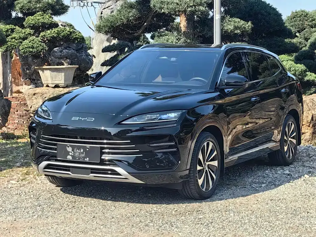 BYD PLUS New Energy — фото 1