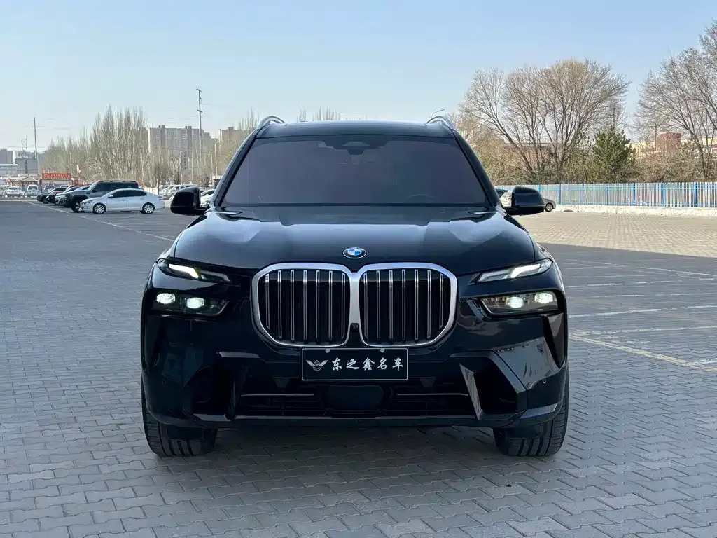BMW X7 — фото 10