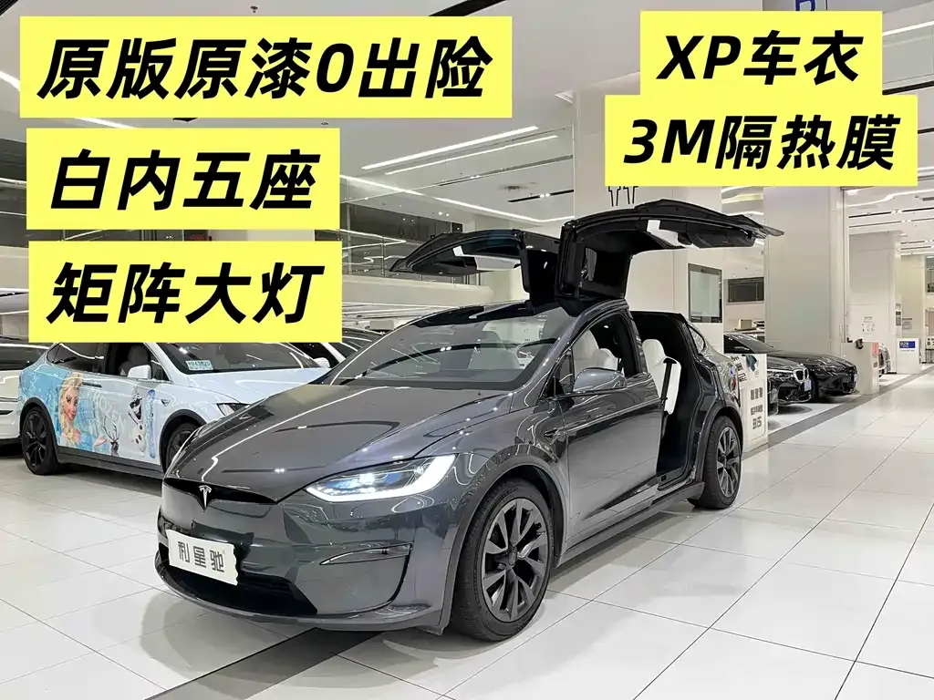 Tesla Model X — фото 1