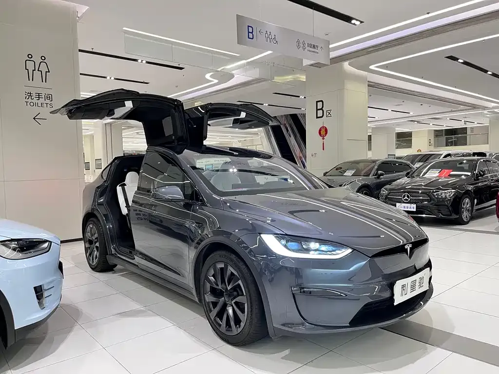 Tesla Model X — фото 9