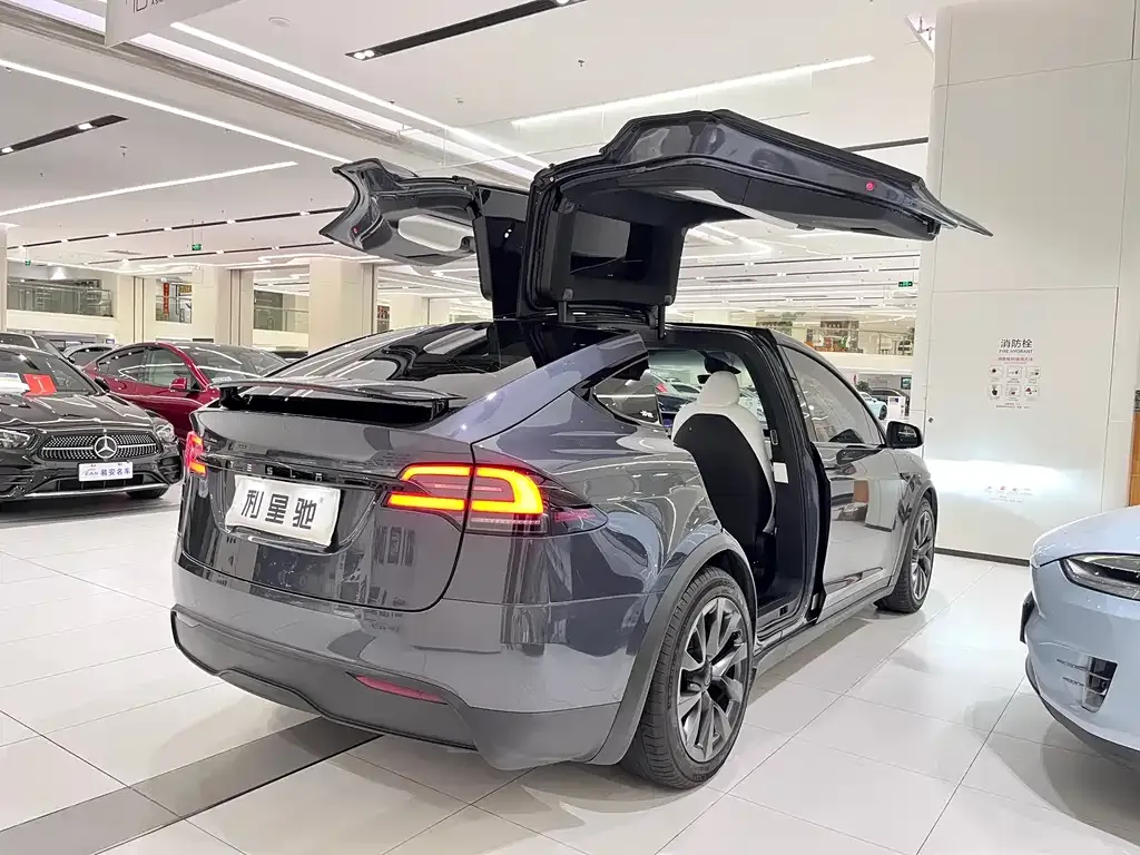 Tesla Model X — фото 2