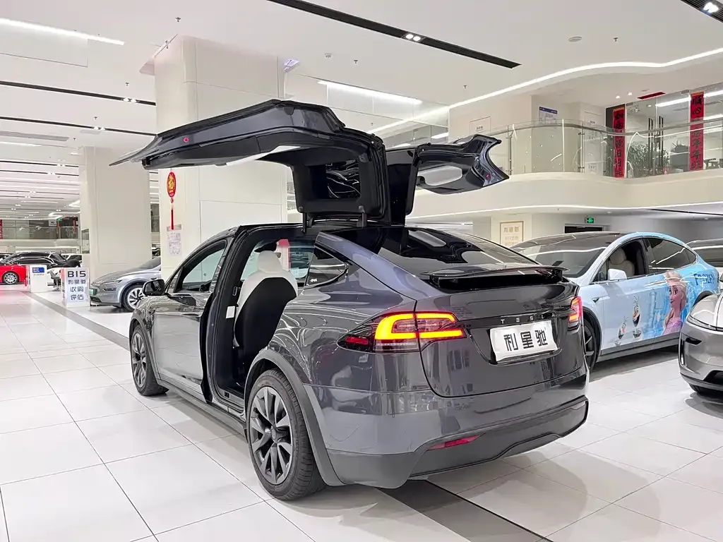 Tesla Model X — фото 6