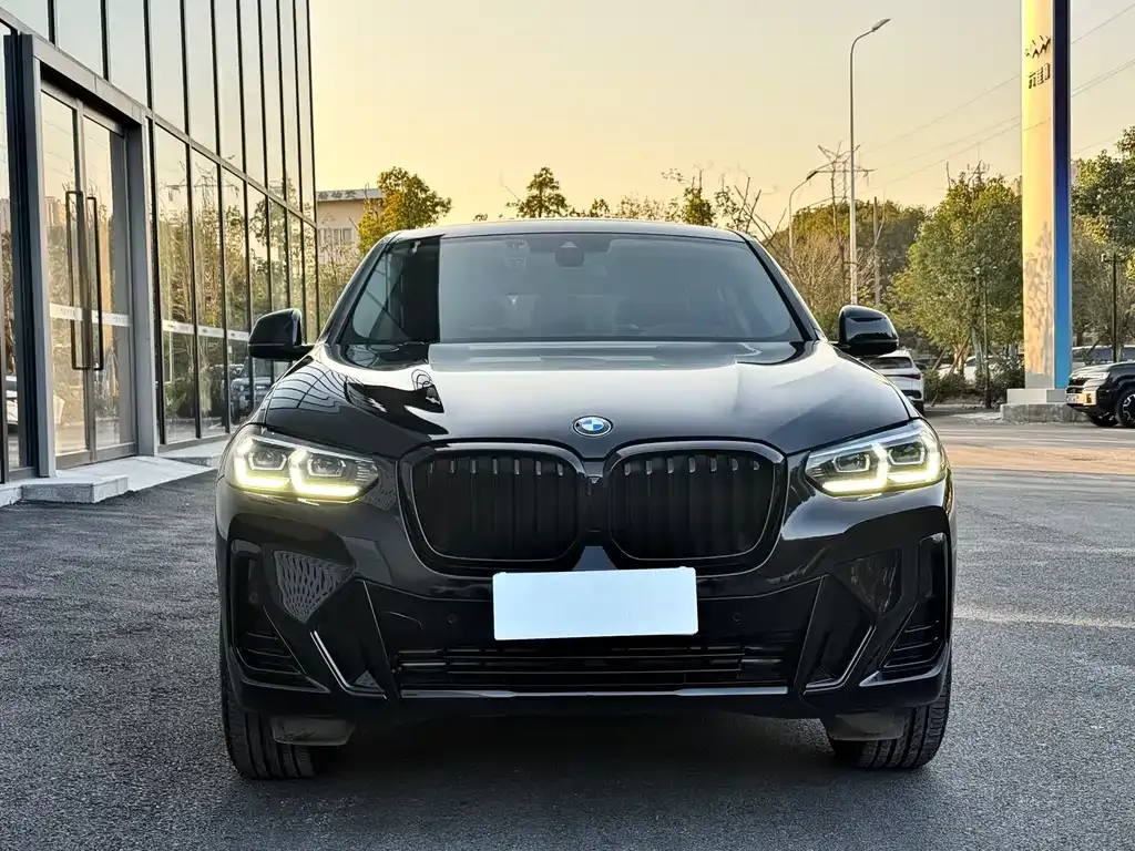 BMW X4 — фото 7