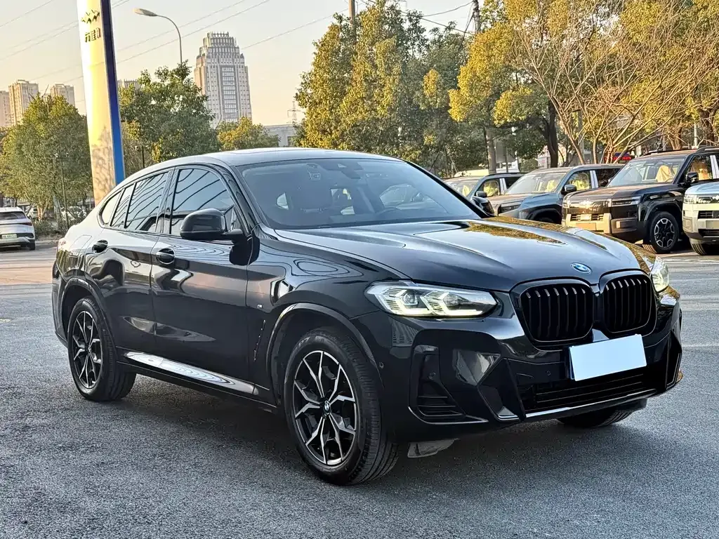 BMW X4 — фото 10