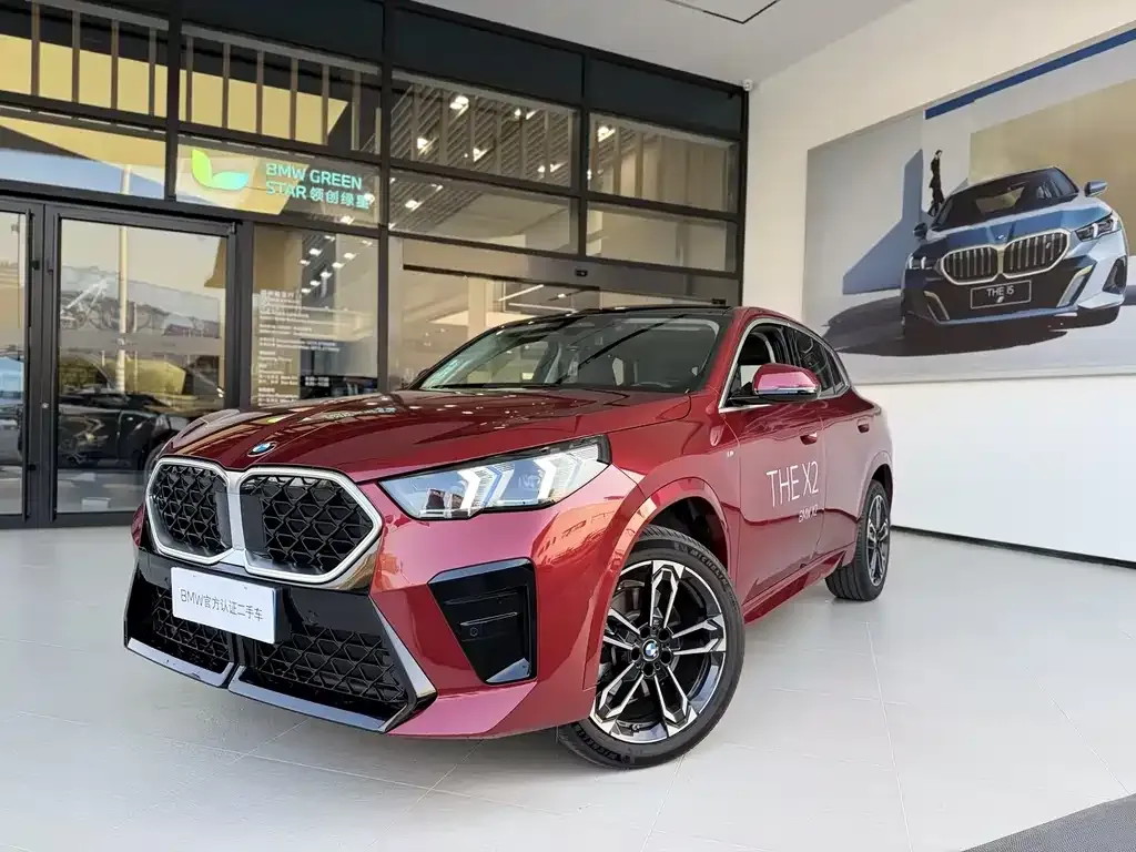 BMW X2 (Import) — фото 1