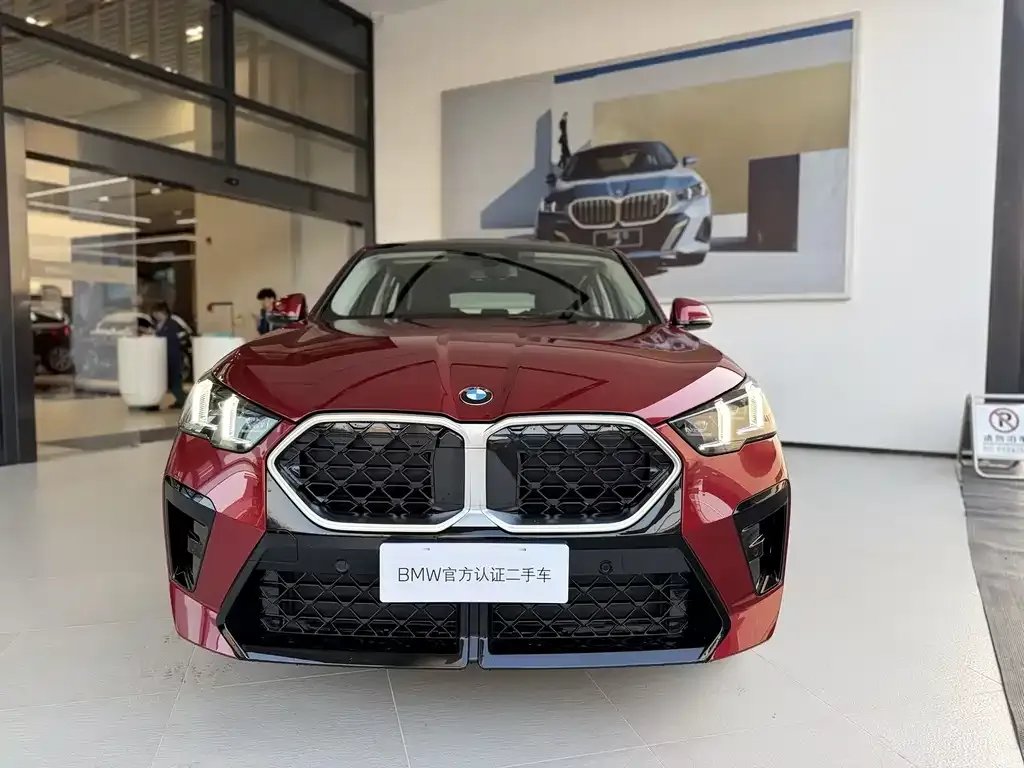 BMW X2 (Import) — фото 7