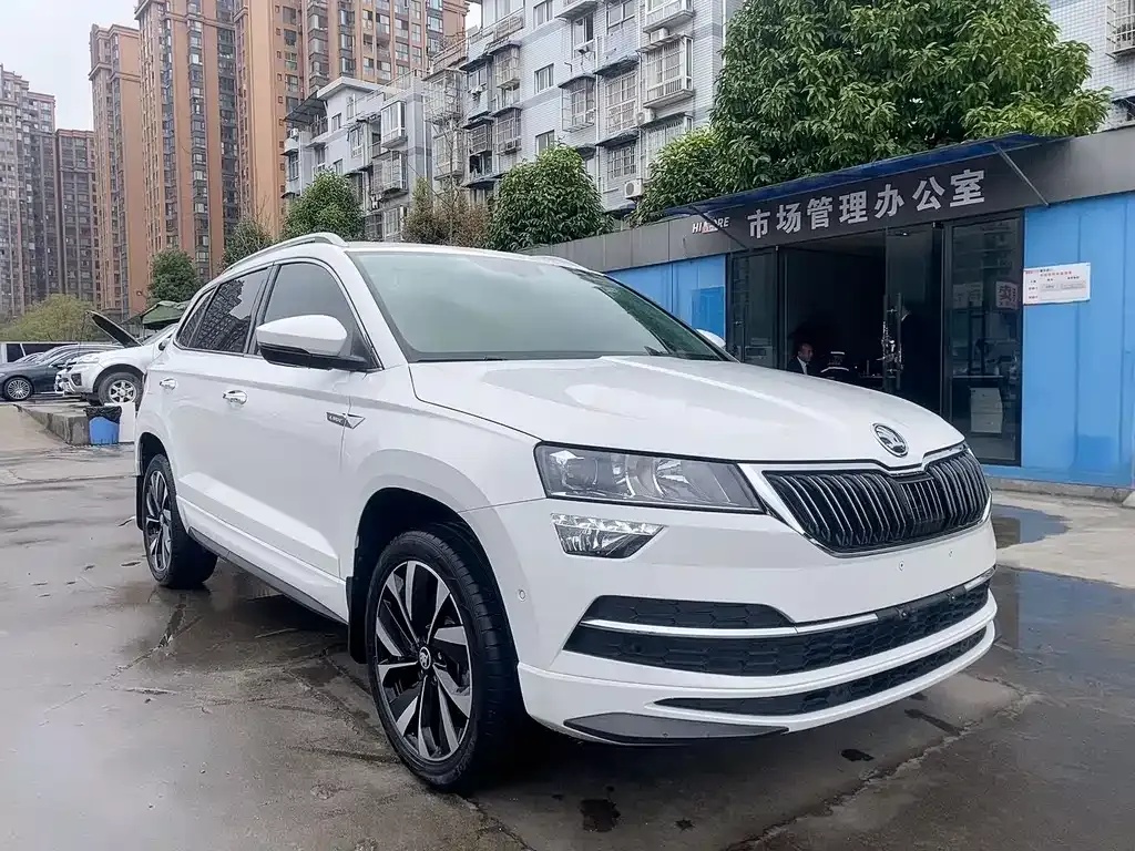 Skoda Karoq — фото 6