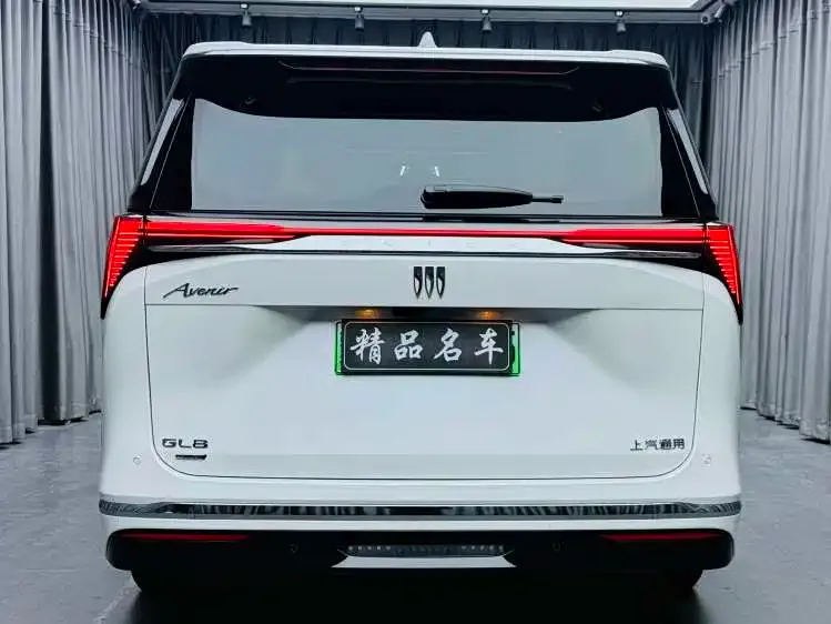 Buick GL8 Hybrid — фото 2