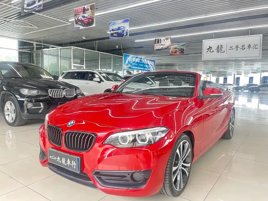 BMW 2 Series (Import) — фото 1