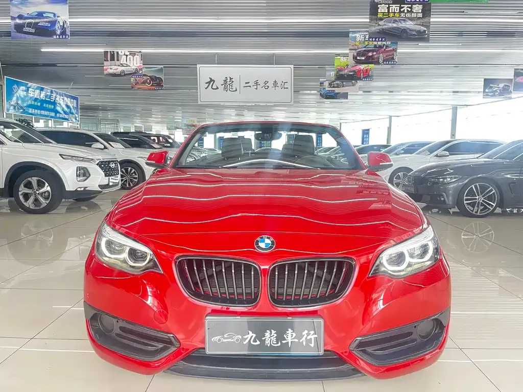 BMW 2 Series (Import) — фото 2