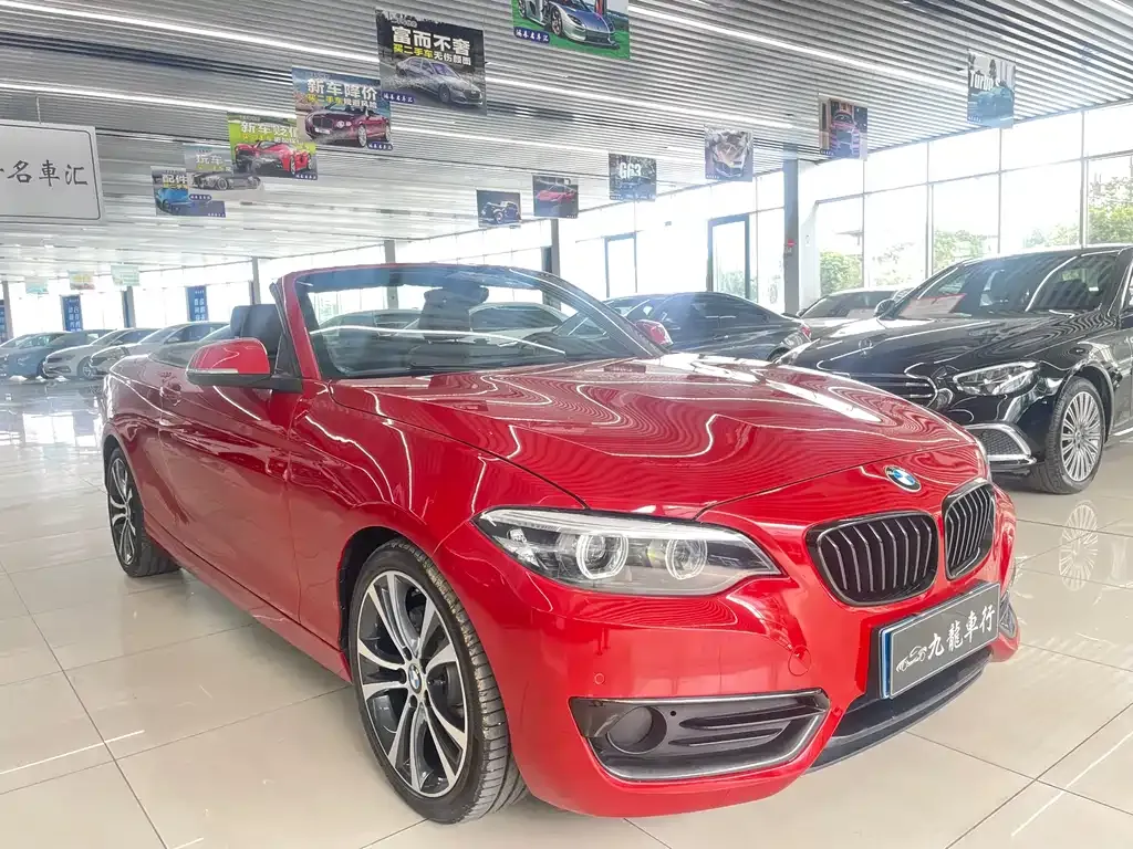 BMW 2 Series (Import) — фото 6