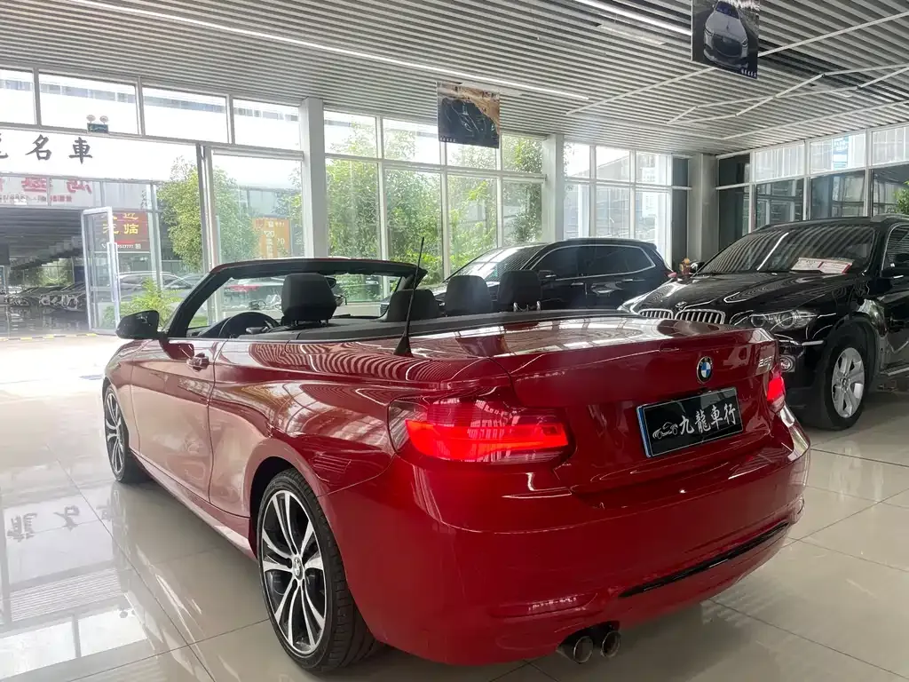 BMW 2 Series (Import) — фото 7