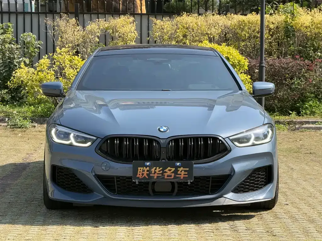 BMW 8 Series — фото 7