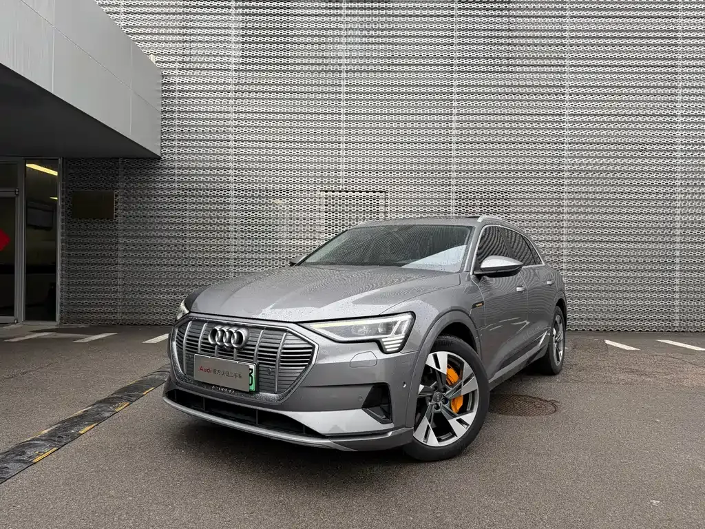 Audi e-tron (Import) — фото 1