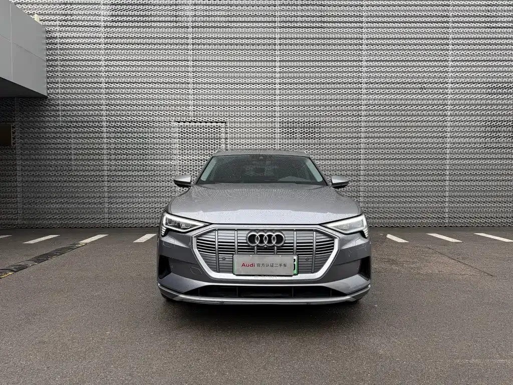 Audi e-tron (Import) — фото 6