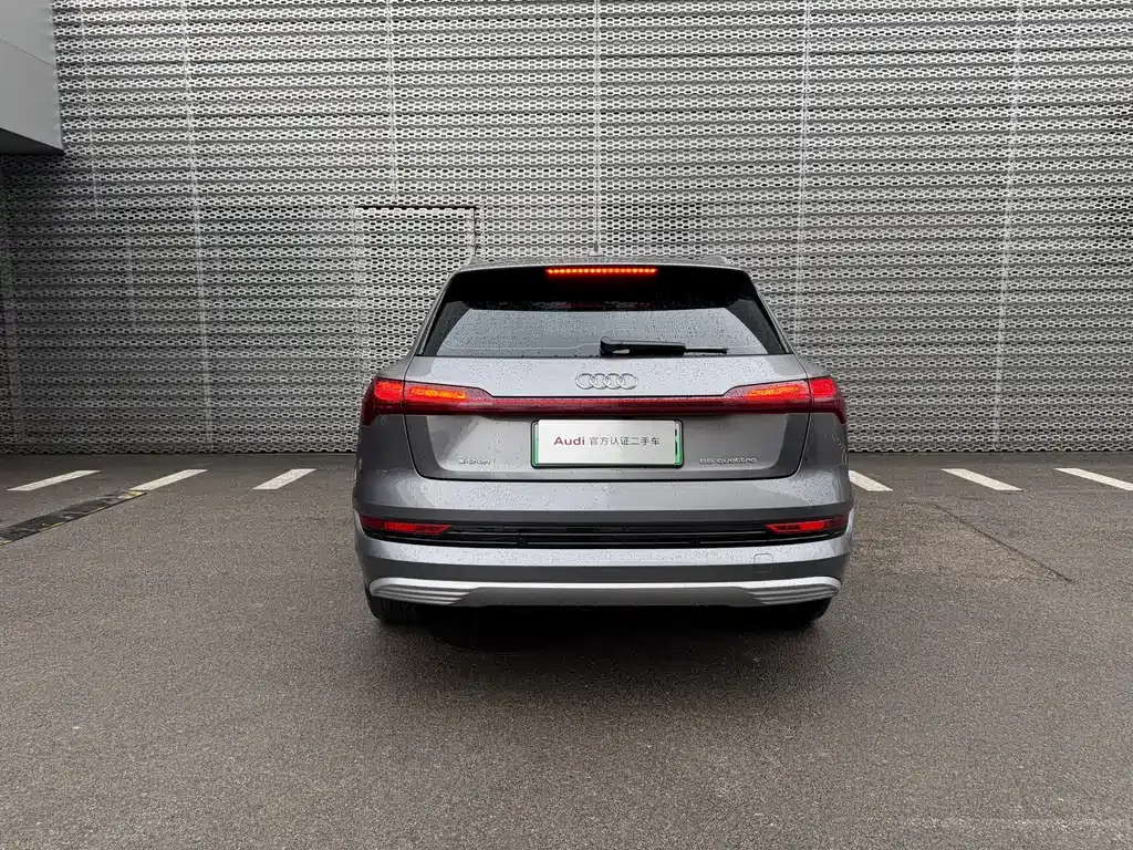 Audi e-tron (Import) — фото 10