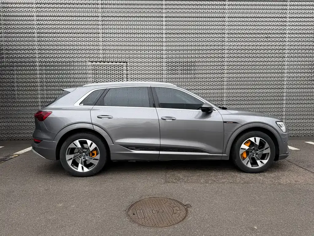 Audi e-tron (Import) — фото 9