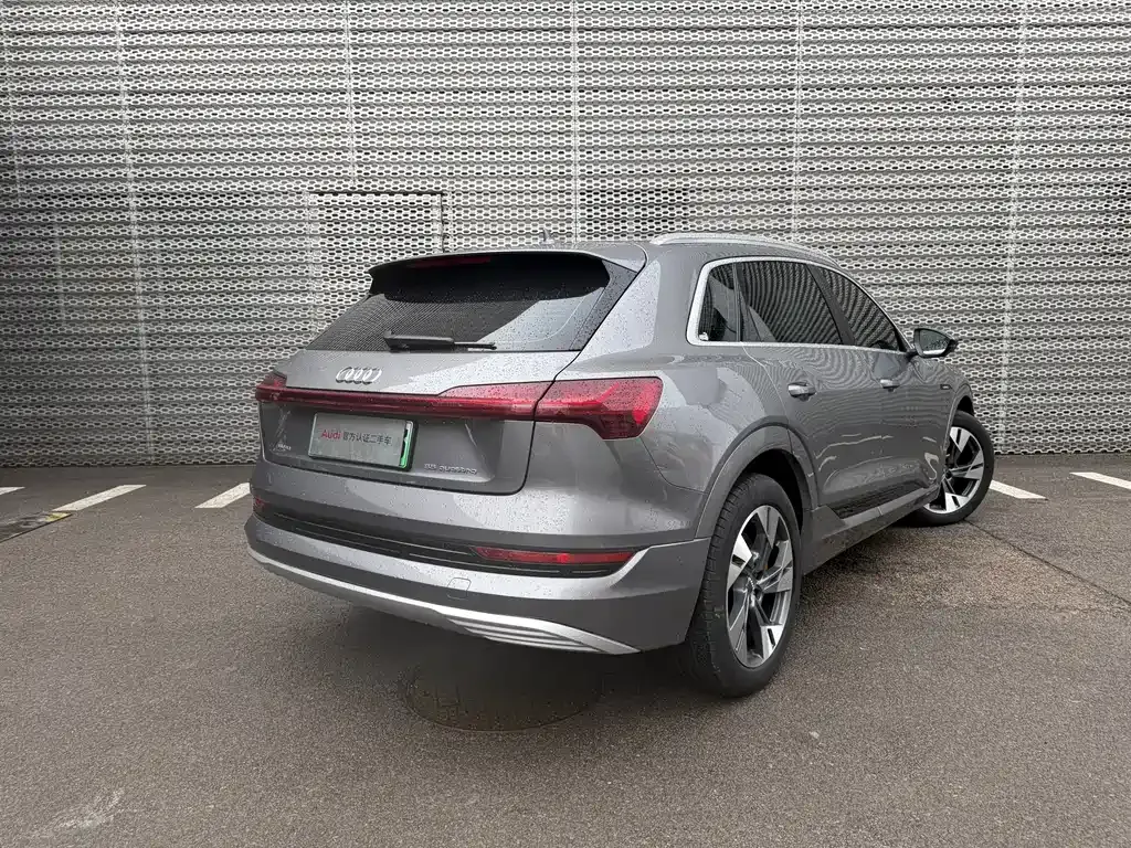 Audi e-tron (Import) — фото 5
