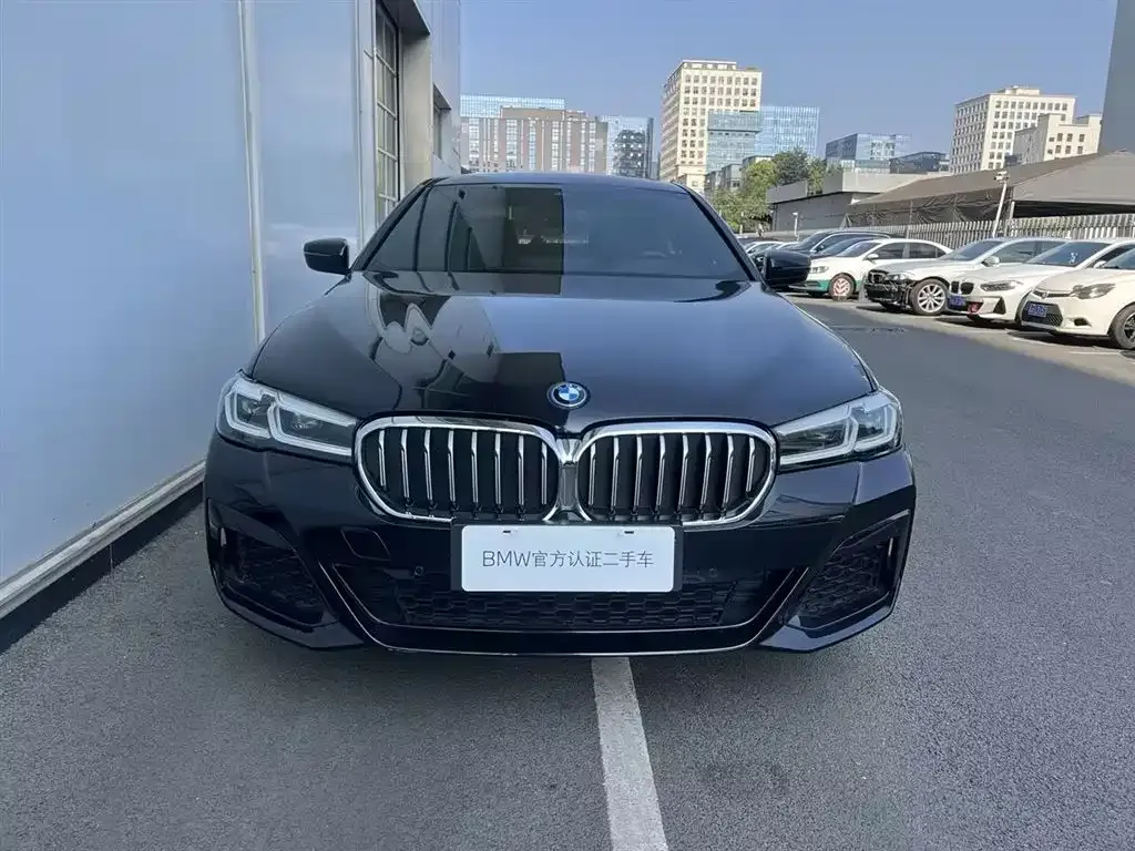 BMW 5 Series New Energy — фото 5