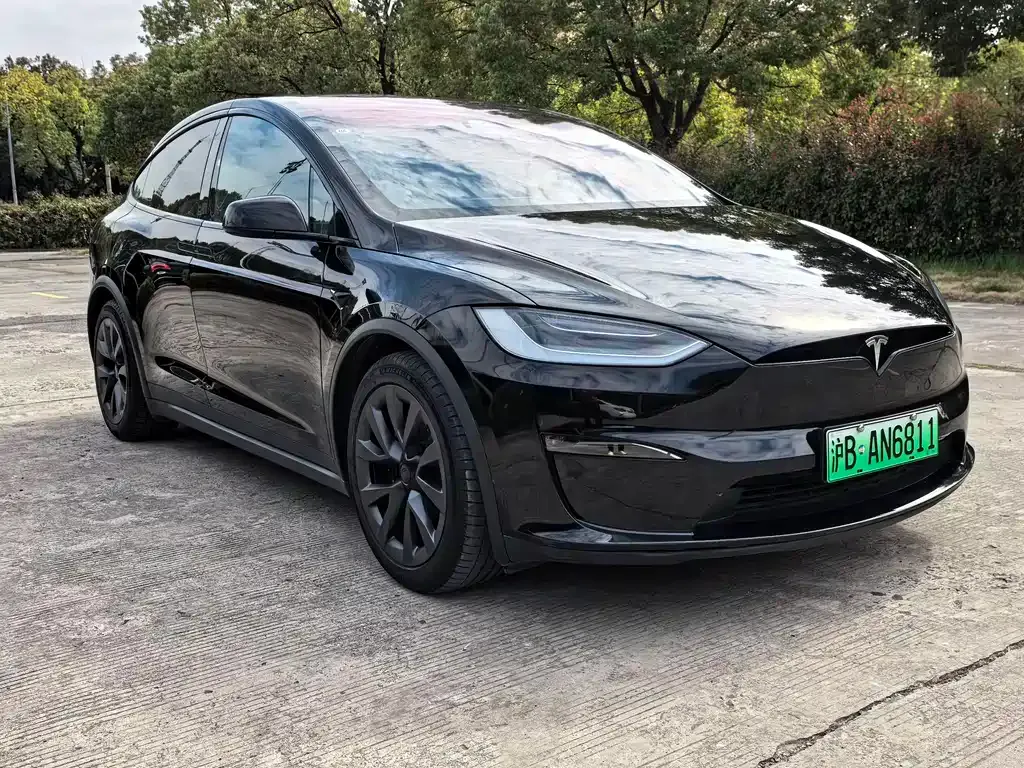 Tesla Model X — фото 10